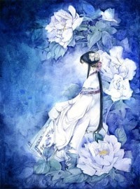 天山女侠