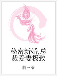 秘密新婚,总裁爱妻极致