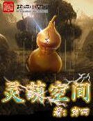 灵葫空间