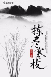揀盡寒枝