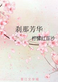 《刹那芳华》