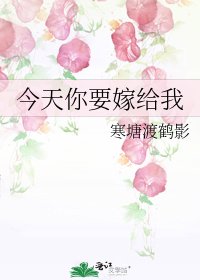 今天你要嫁給我