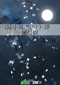（陸小鳳.西/葉）浮屠燈燼