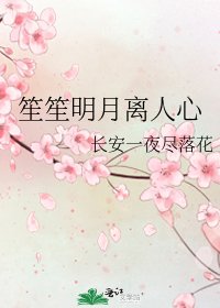 笙笙明月离人心