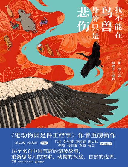 我不能在片授阂旁只是悲伤(出版书)