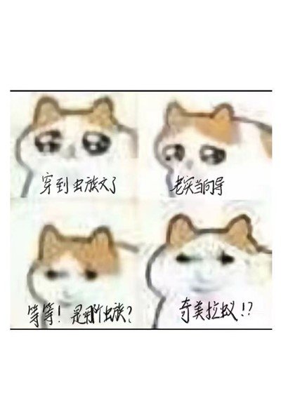 (猎人同人)穿成虫族文向导