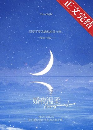 婚夜温柔