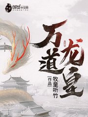 万盗龙皇